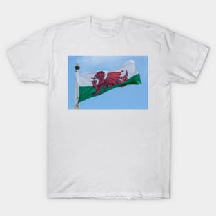 Flying the Dragon - 2011 T-Shirt